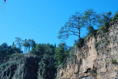 �������Y