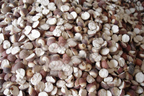 �������Y