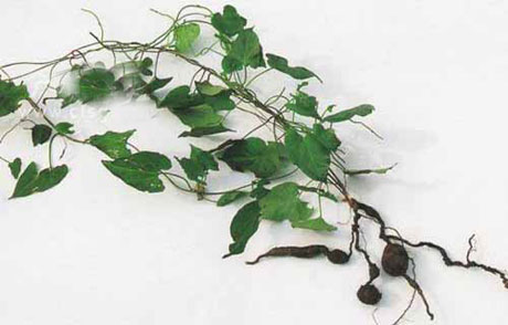 �������Y