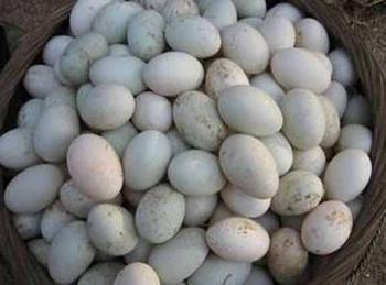 �������Y