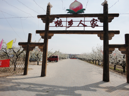 �������Y