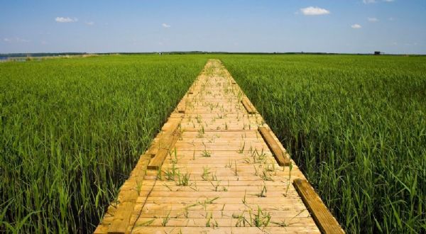 �������Y