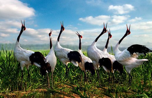 �������Y