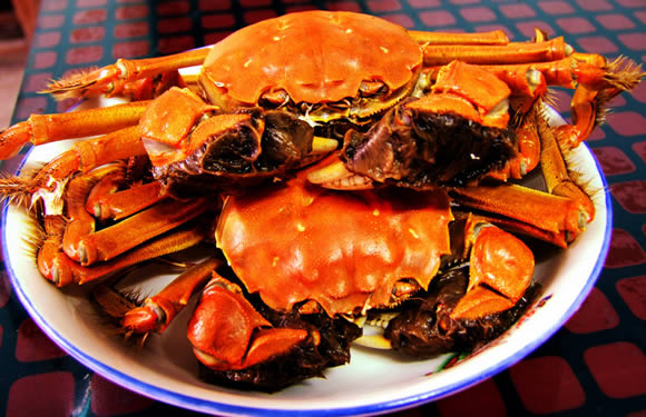 �������Y