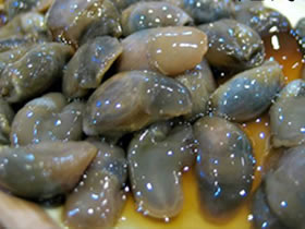 �������Y