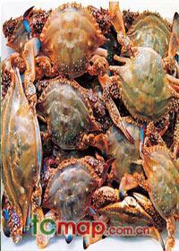 �������Y