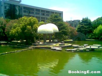 �������Y